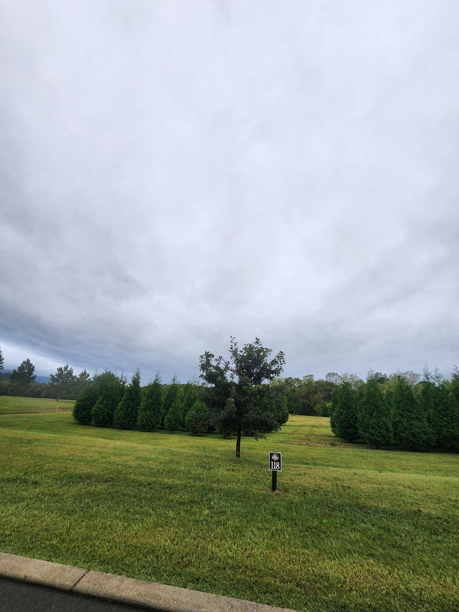 Dunlap, TN 37327,118 River Ridge DR
