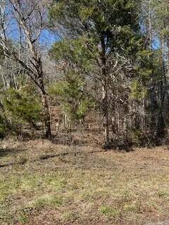 Vonore, TN 37885,63.74 Acre Chestnut Valley RD