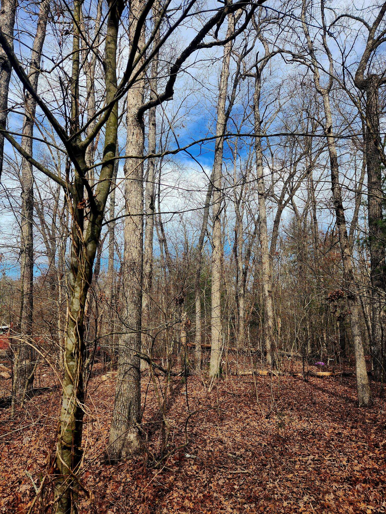 Crossville, TN 38571,0 Brown Creek DR