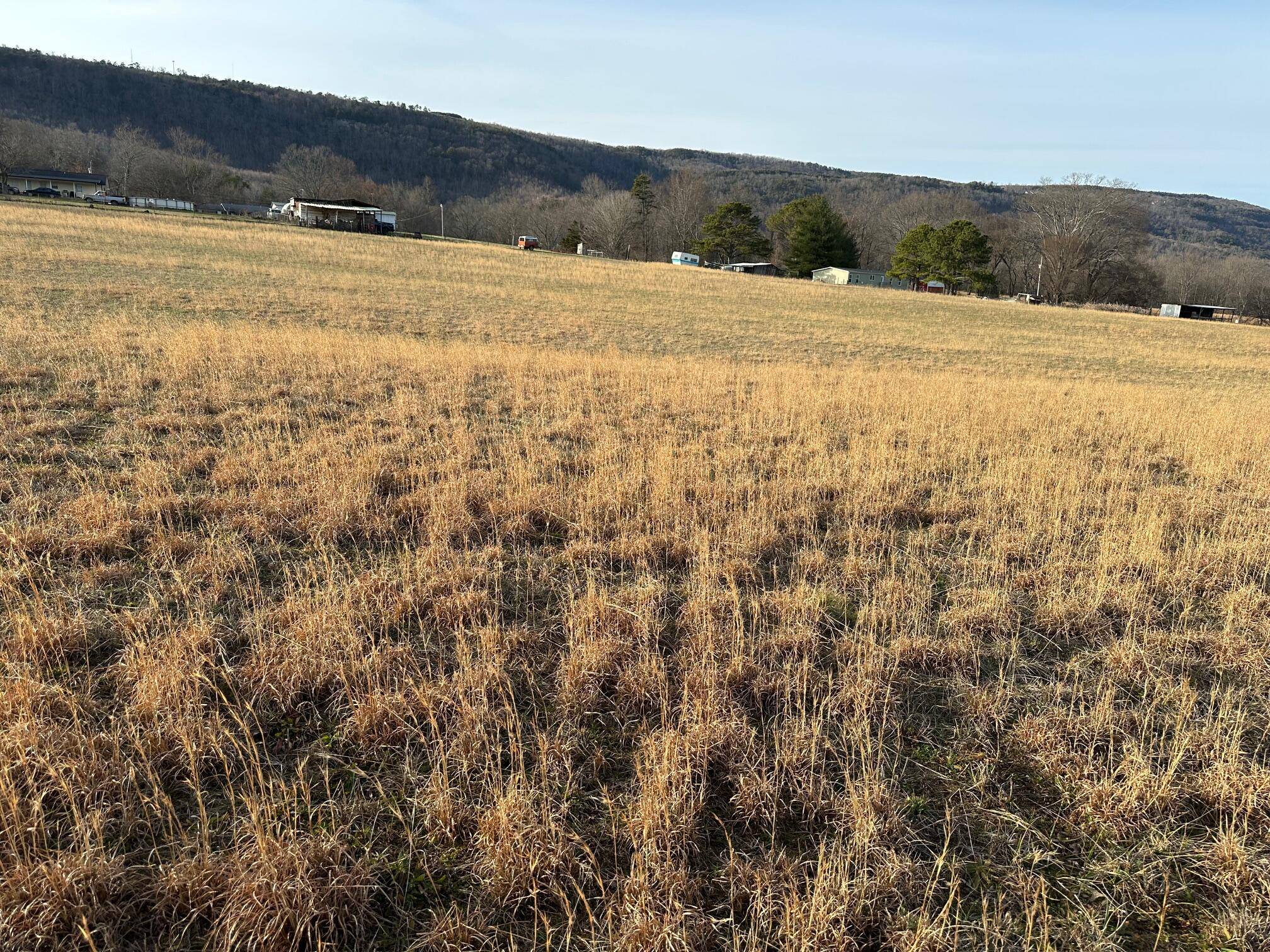 Evensville, TN 37332,0 Wayne LN