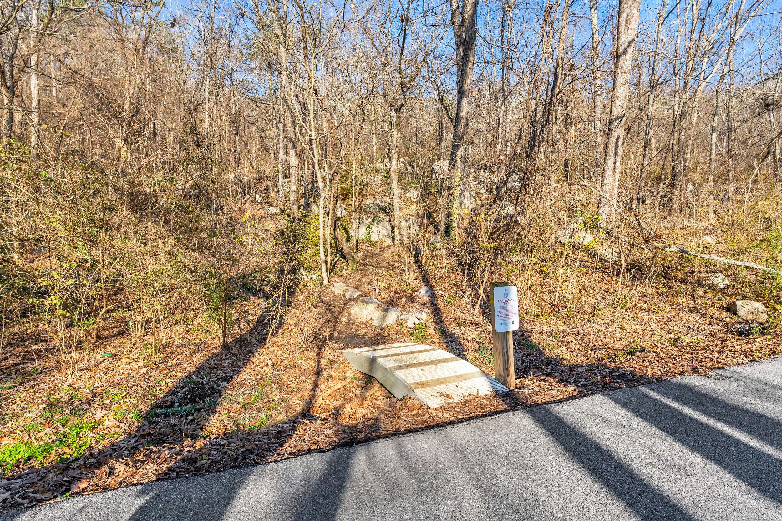 Chattanooga, TN 37409,0 Lookout ST