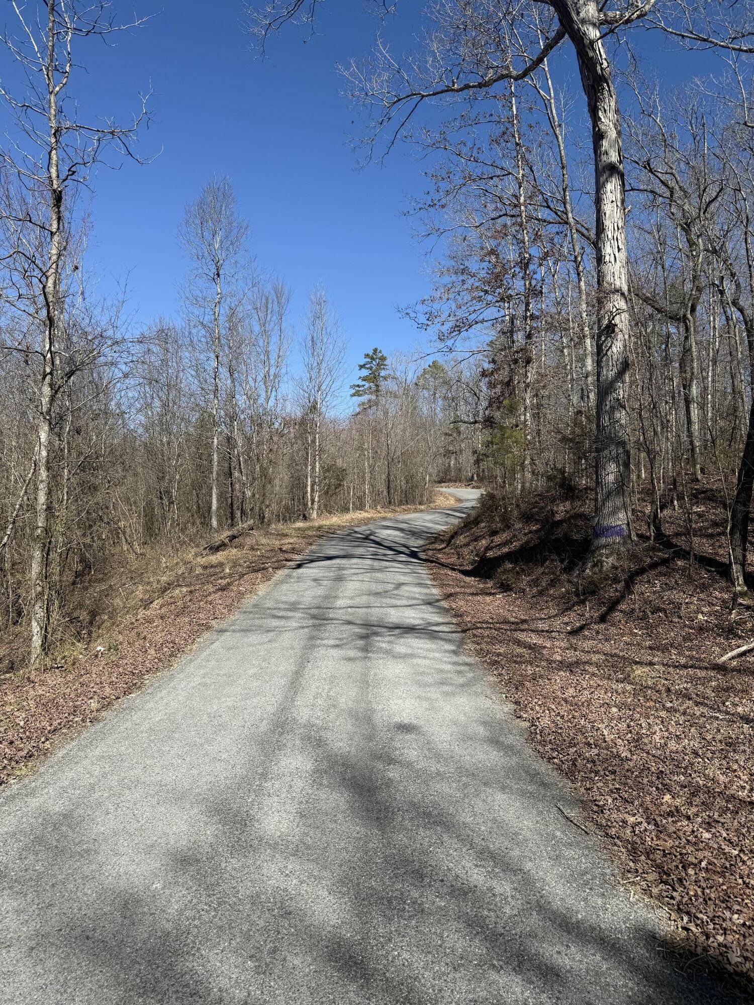 Decatur, TN 37322,0 Will Allen RD