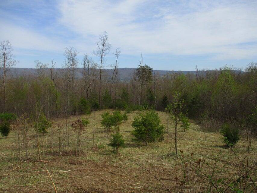 Pikeville, TN 37367,327 Odyssey Farms Roads