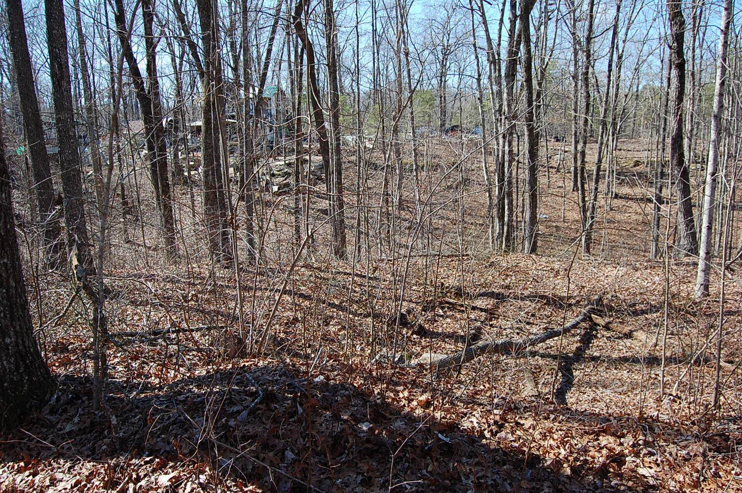 Dunlap, TN 37327,2 Ski View DR