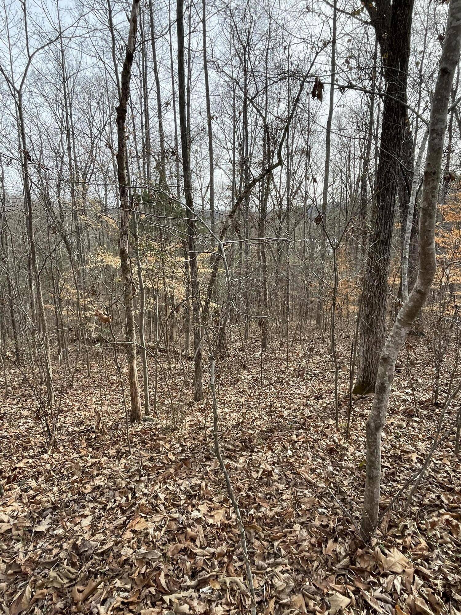 Ringgold, GA 30736,0 Swanson RD