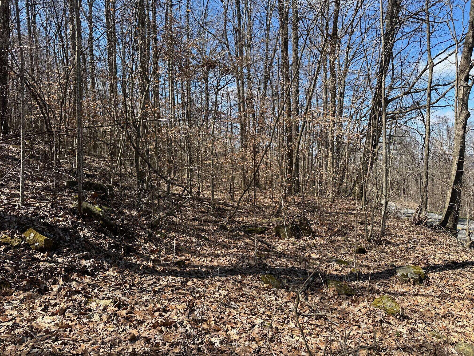 Morrison, TN 37357,176 Sr 108