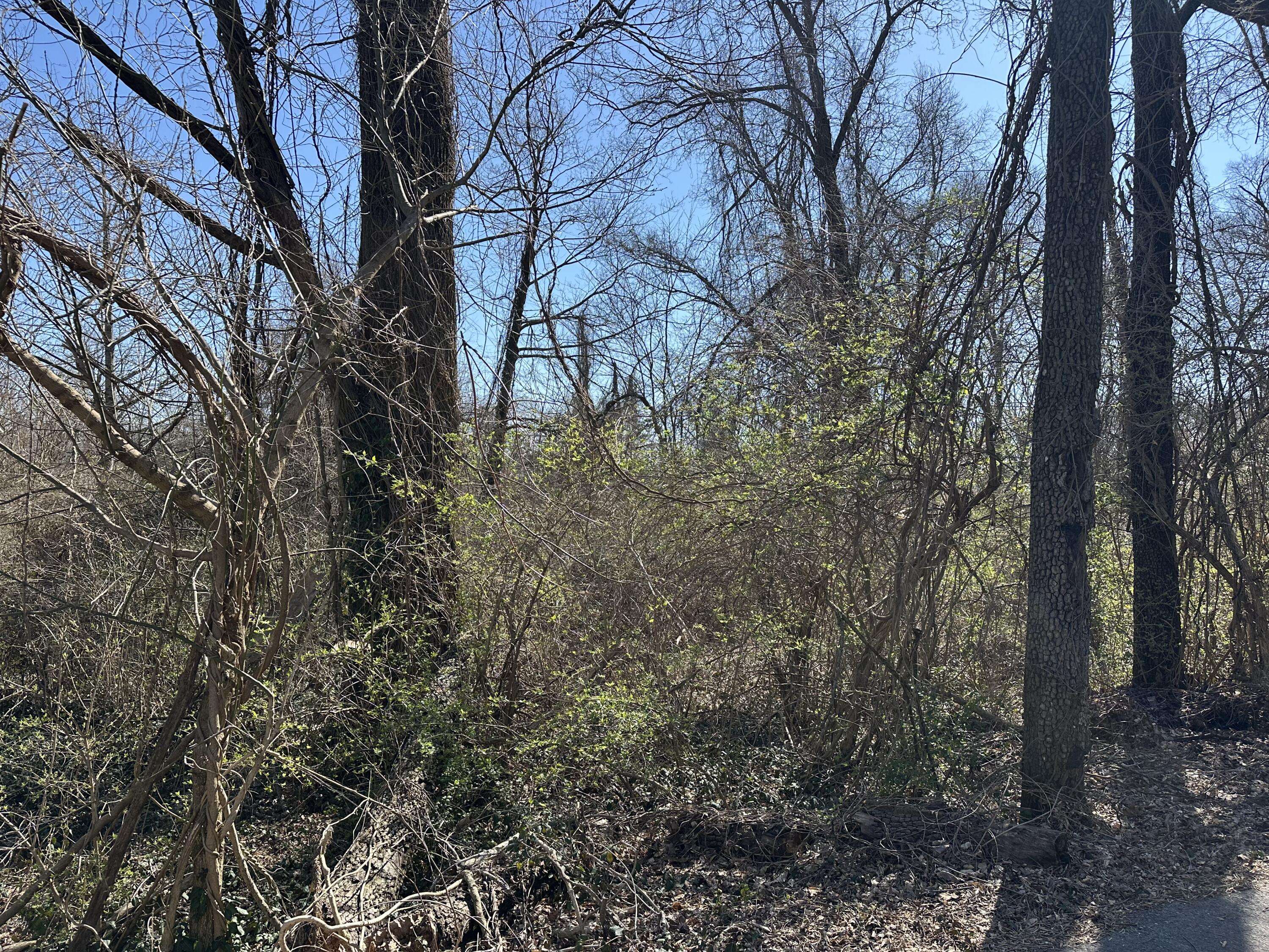Signal Mountain, TN 37377,836 Fairmount AVE