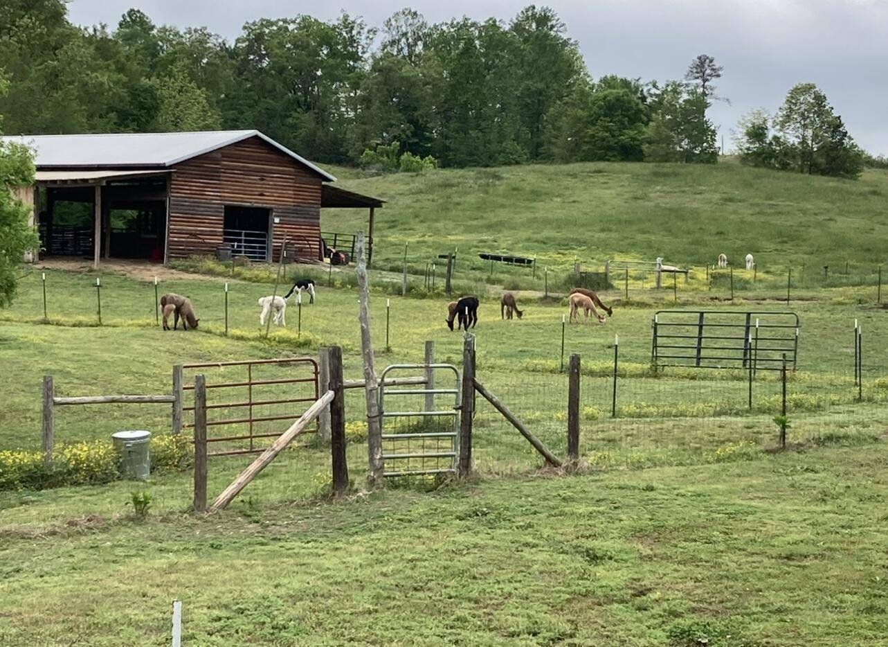 Trion, GA 30753,1570 Halls Valley RD