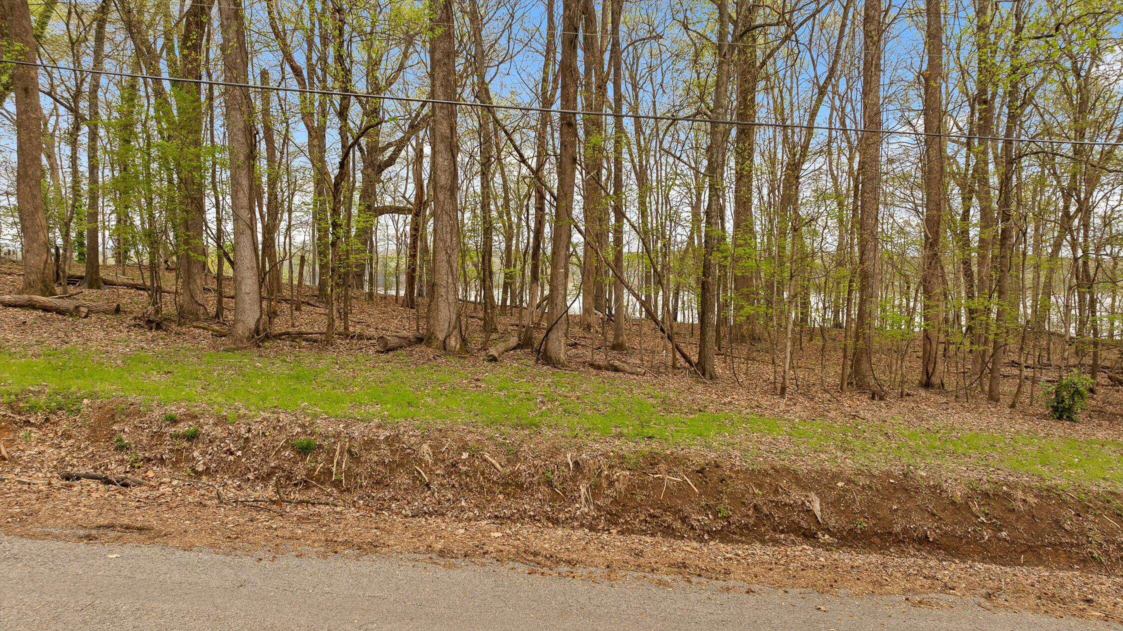 Harrison, TN 37341,0 Crestwood Lot 26 TRL