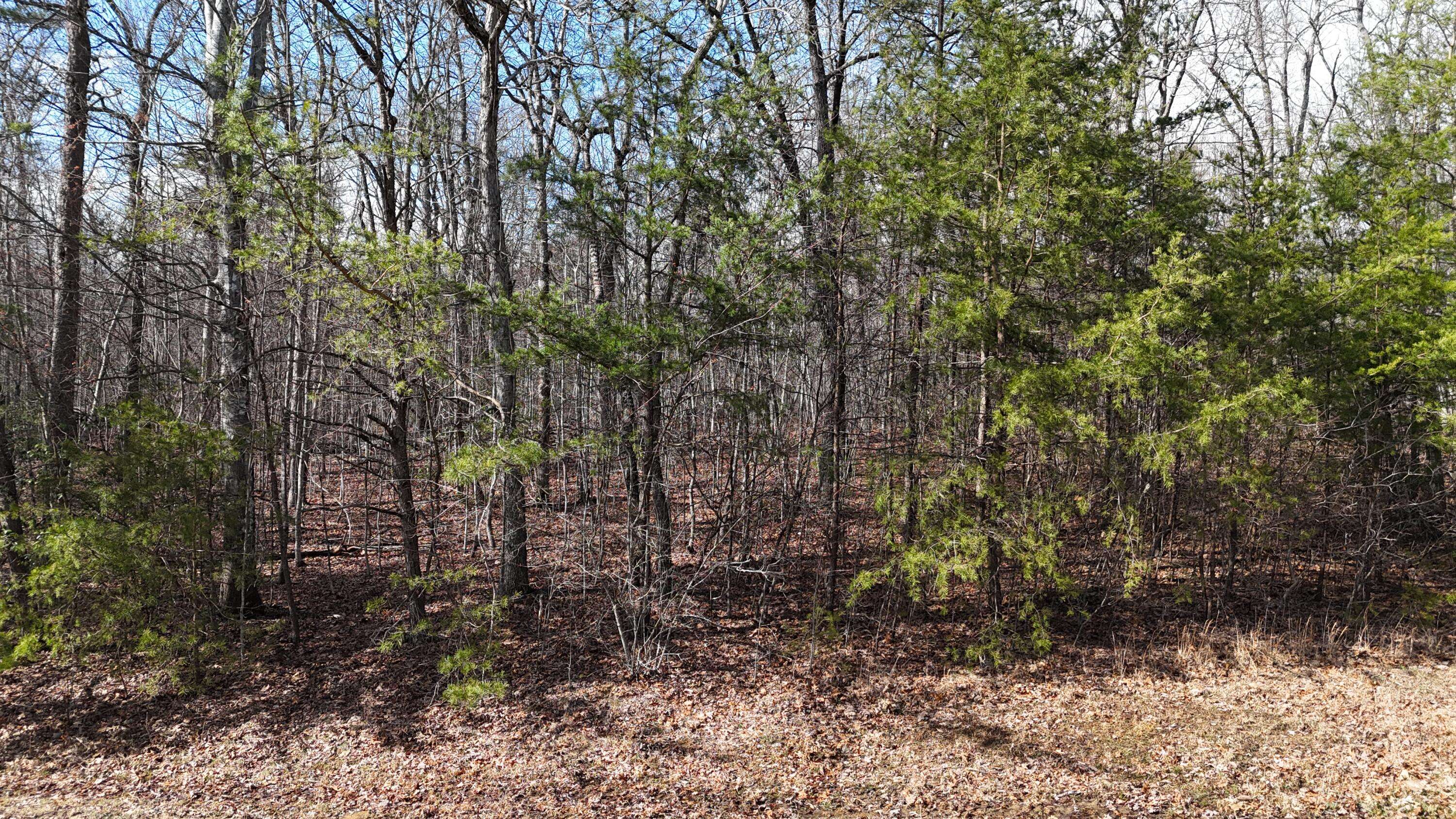 Pikeville, TN 37367,0 Mountain Laurel RD