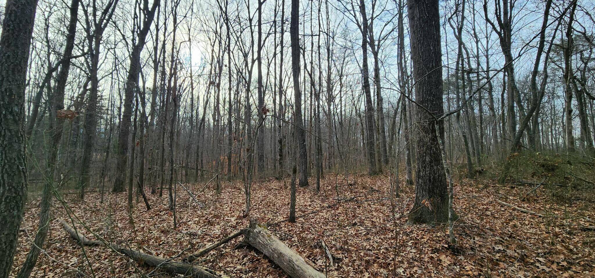 Tracy City, TN 37387,0 Hickory Hollow Sub RD