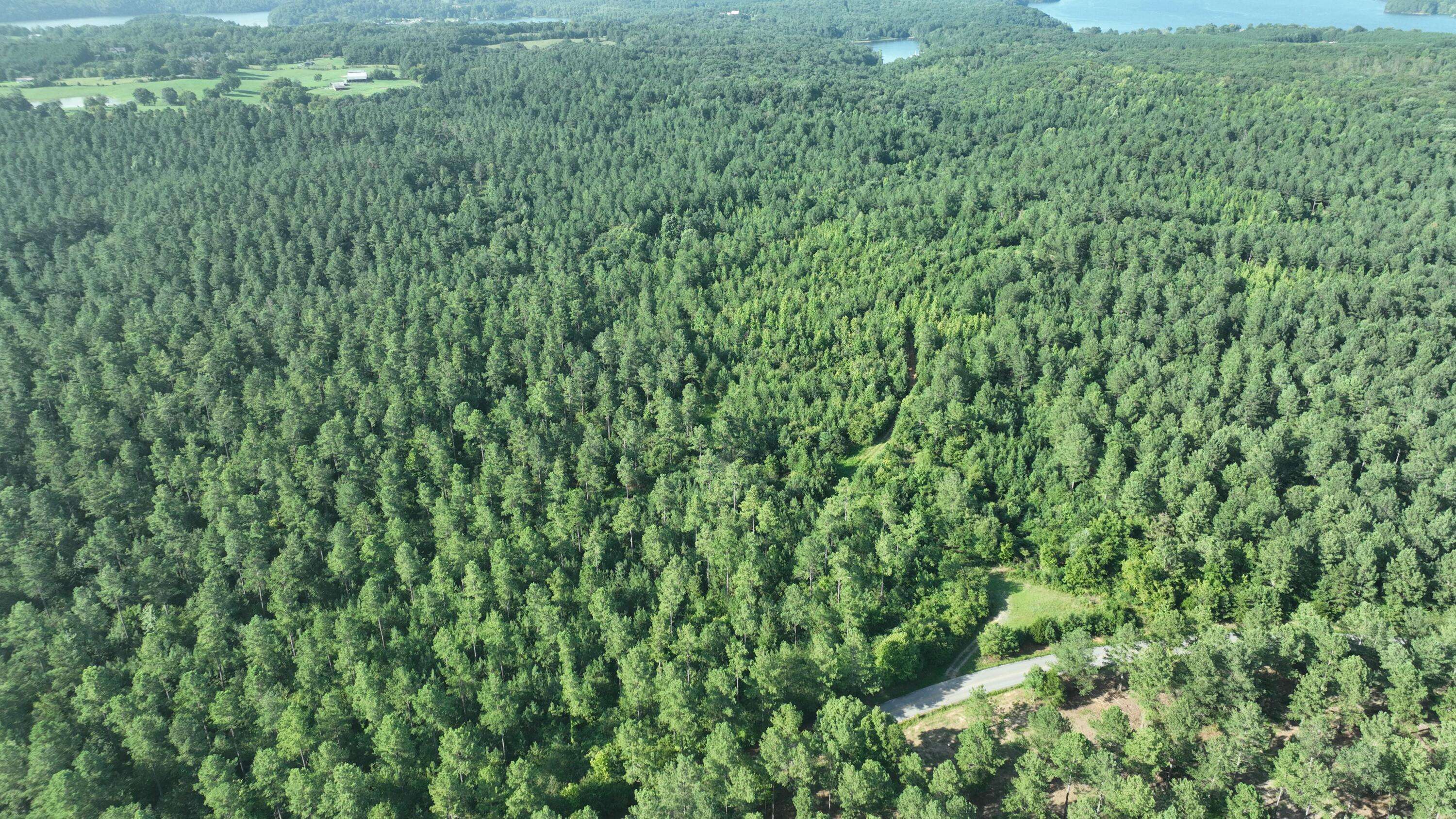 Sale Creek, TN 37373,0 Mccallie Ferry RD