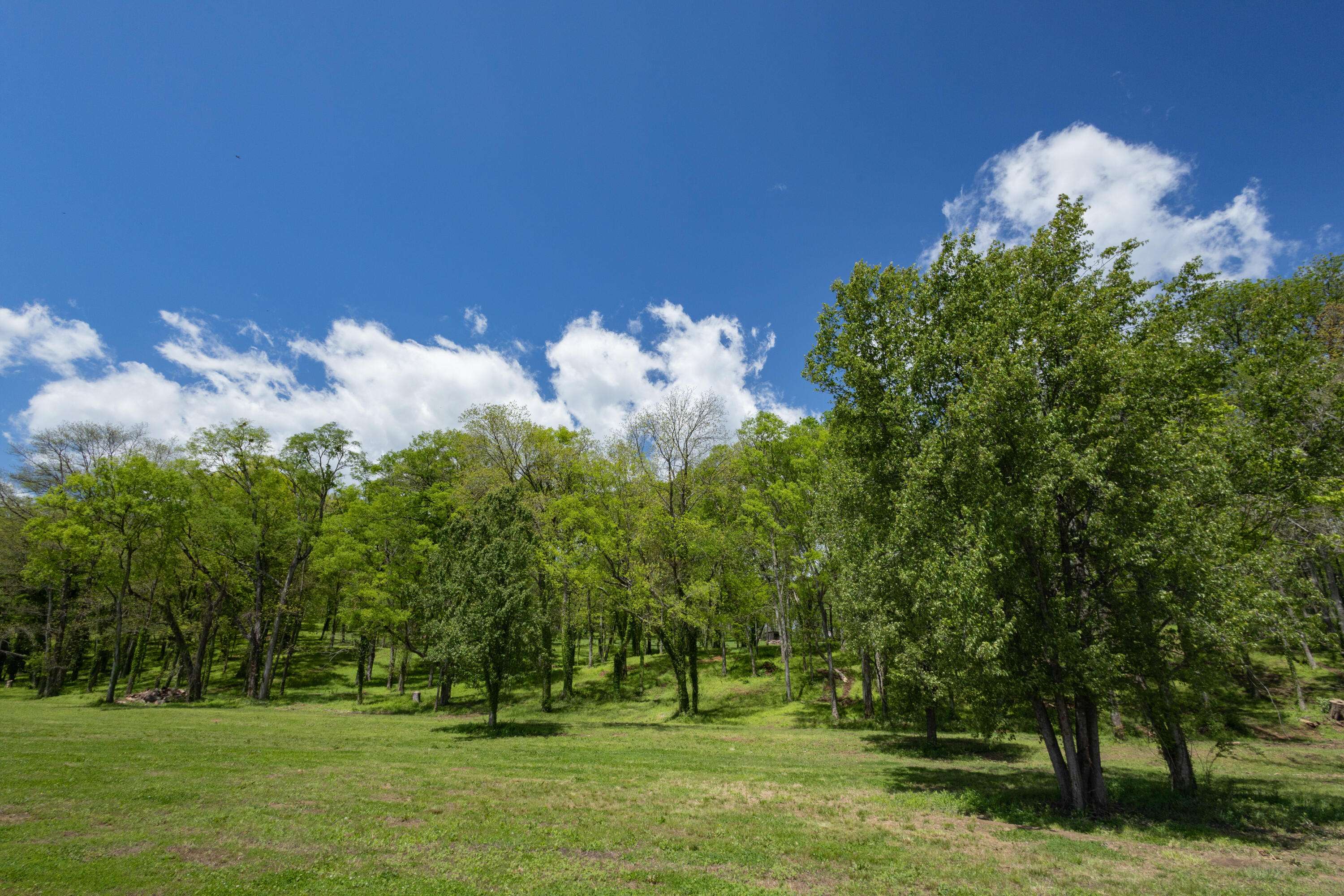 Chattanooga, TN 37415,1182 Riverbank RDG