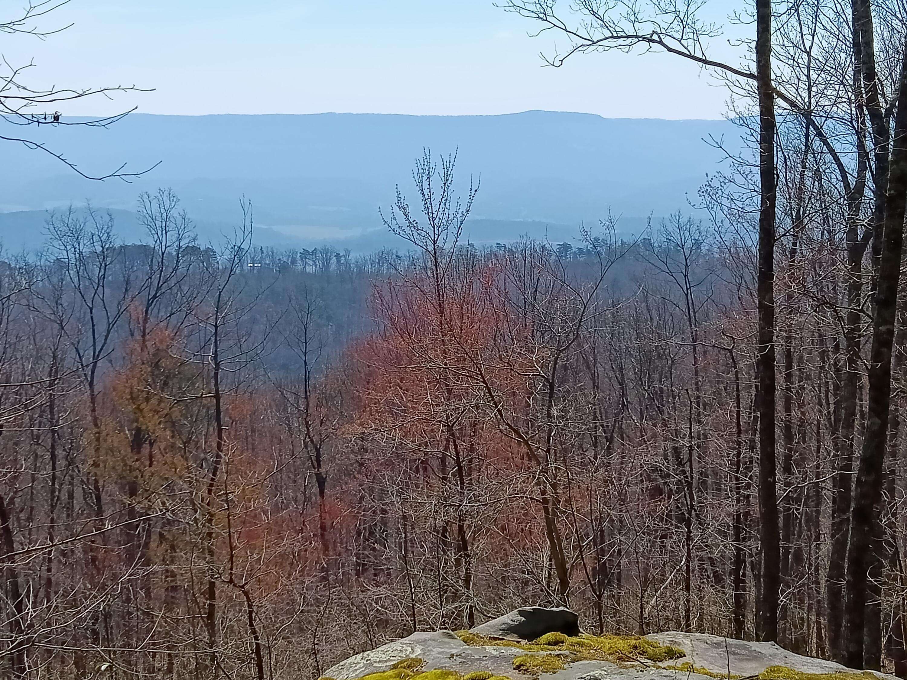 Pikeville, TN 37367,0008 Harlee Vista