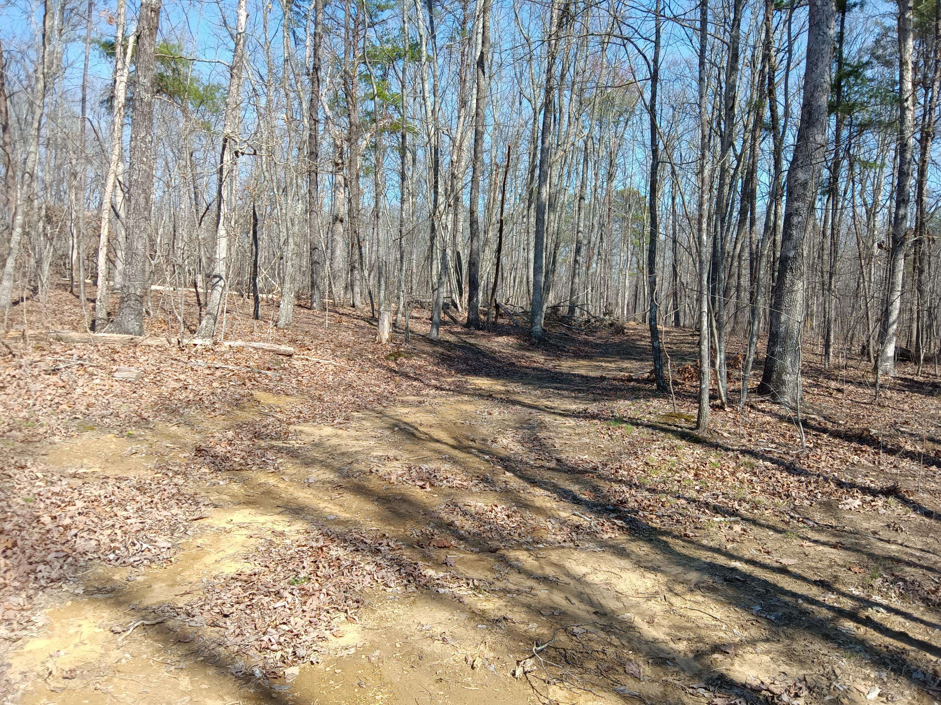 Pikeville, TN 37367,0008 Harlee Vista