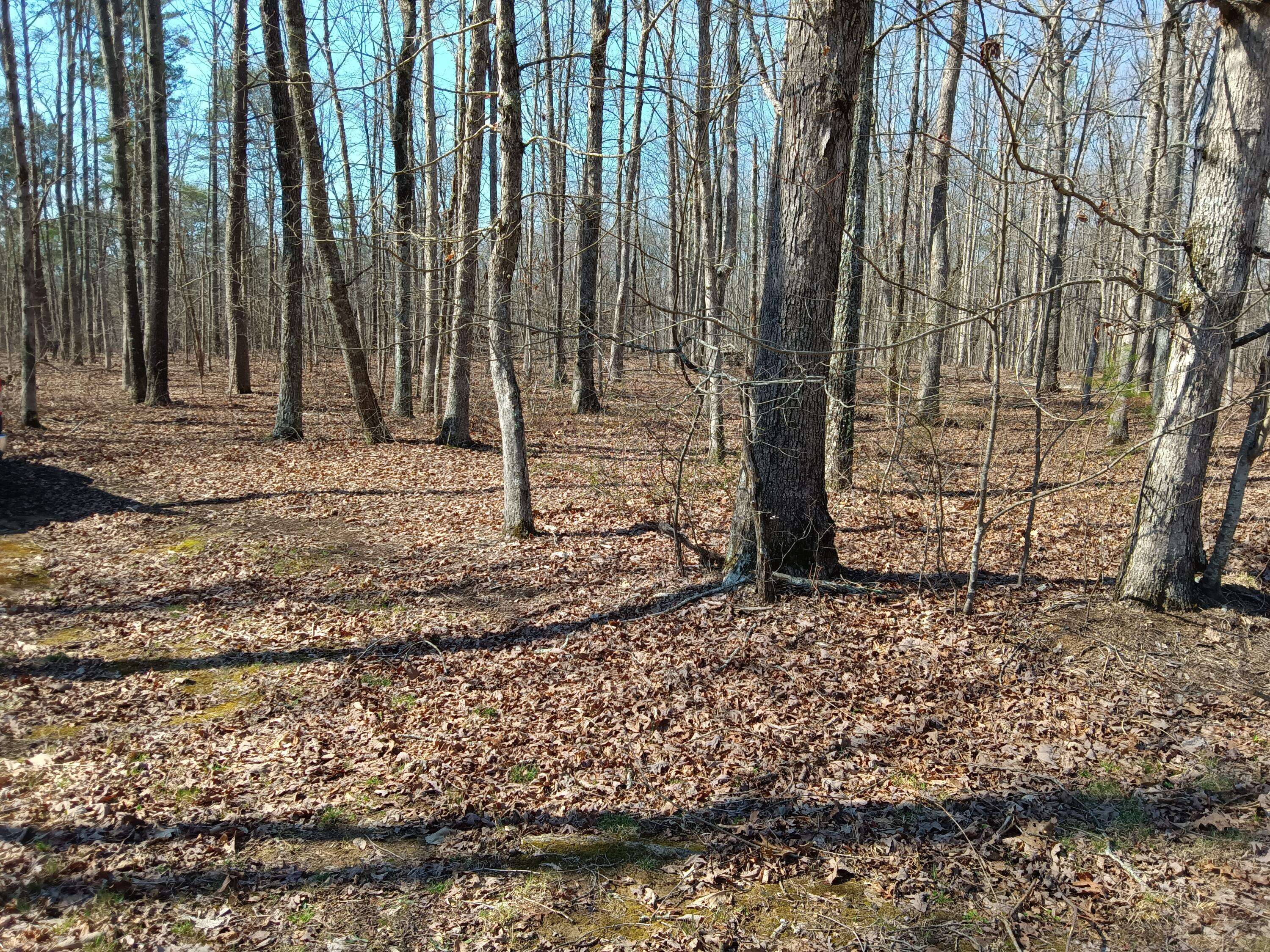 Pikeville, TN 37367,0008 Harlee Vista