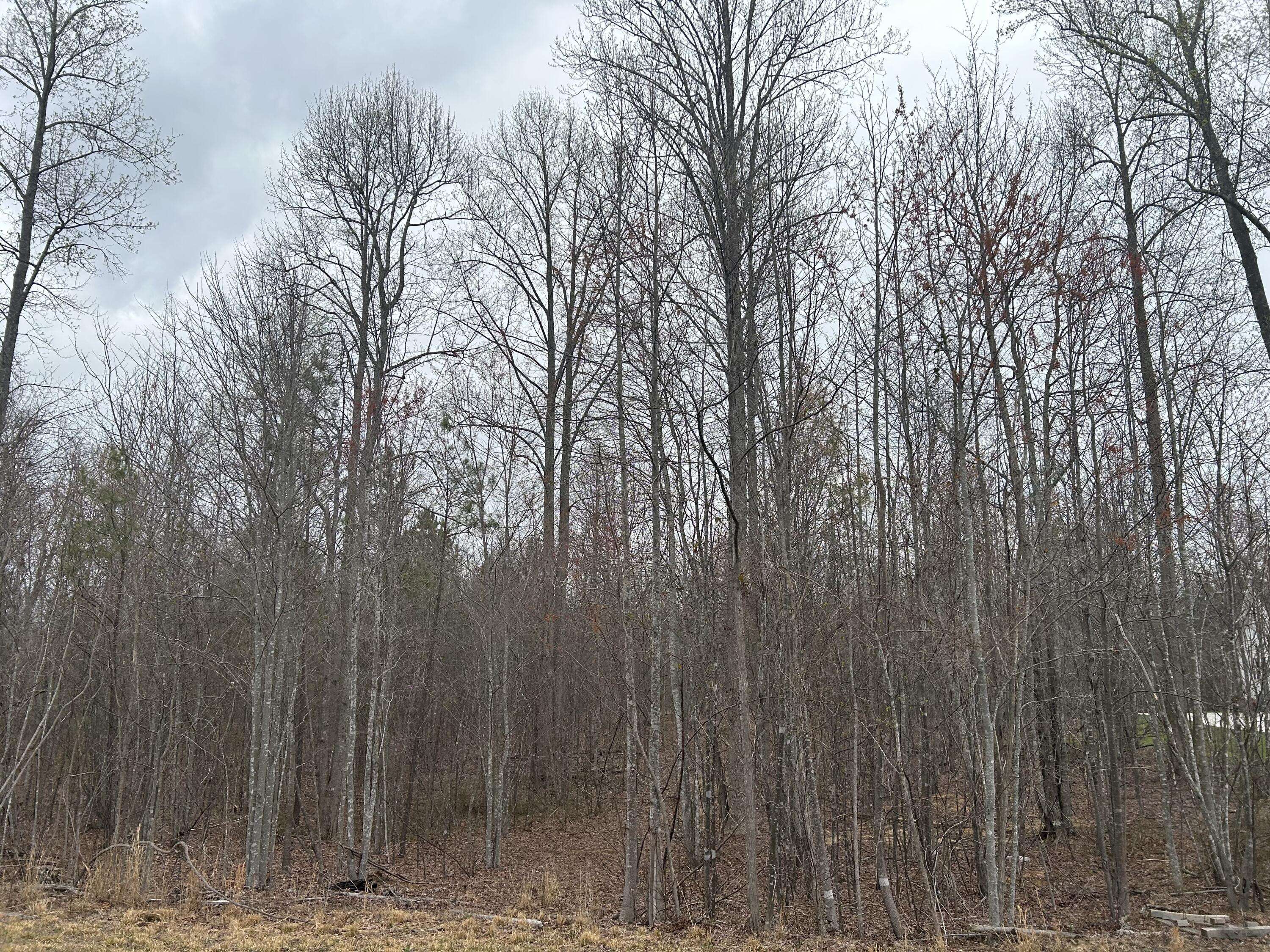 Jasper, TN 37347,0 Volunteer ST