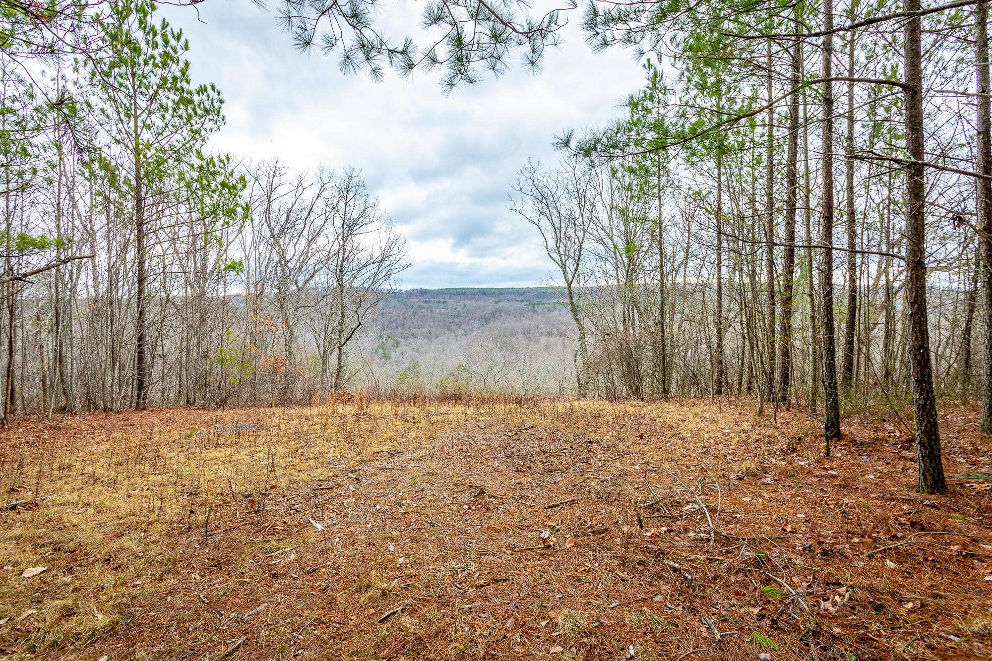 Guild, TN 37340,0 Split Rail Way