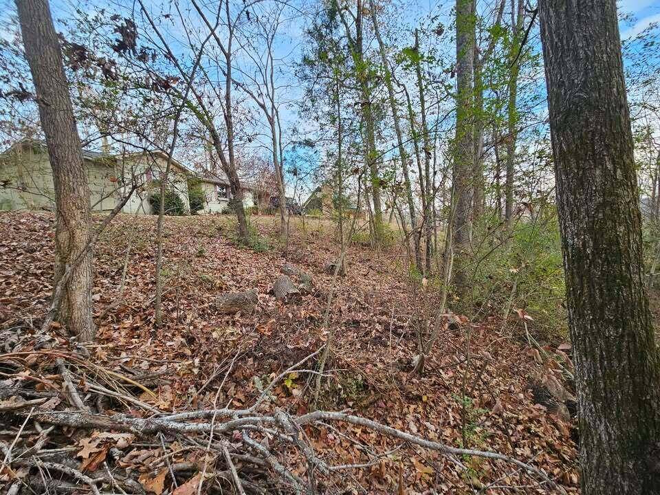 Evensville, TN 37332,Lot 25 Countryside DR