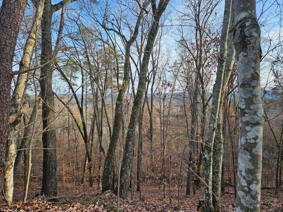 Evensville, TN 37332,Lot 25 Countryside DR