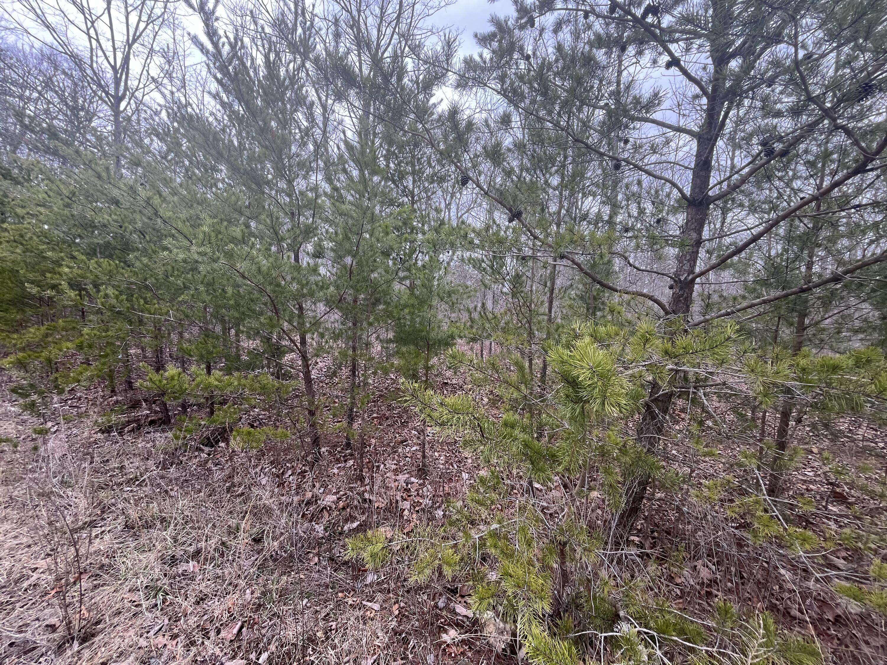 Pikeville, TN 37367,0 Maple DR