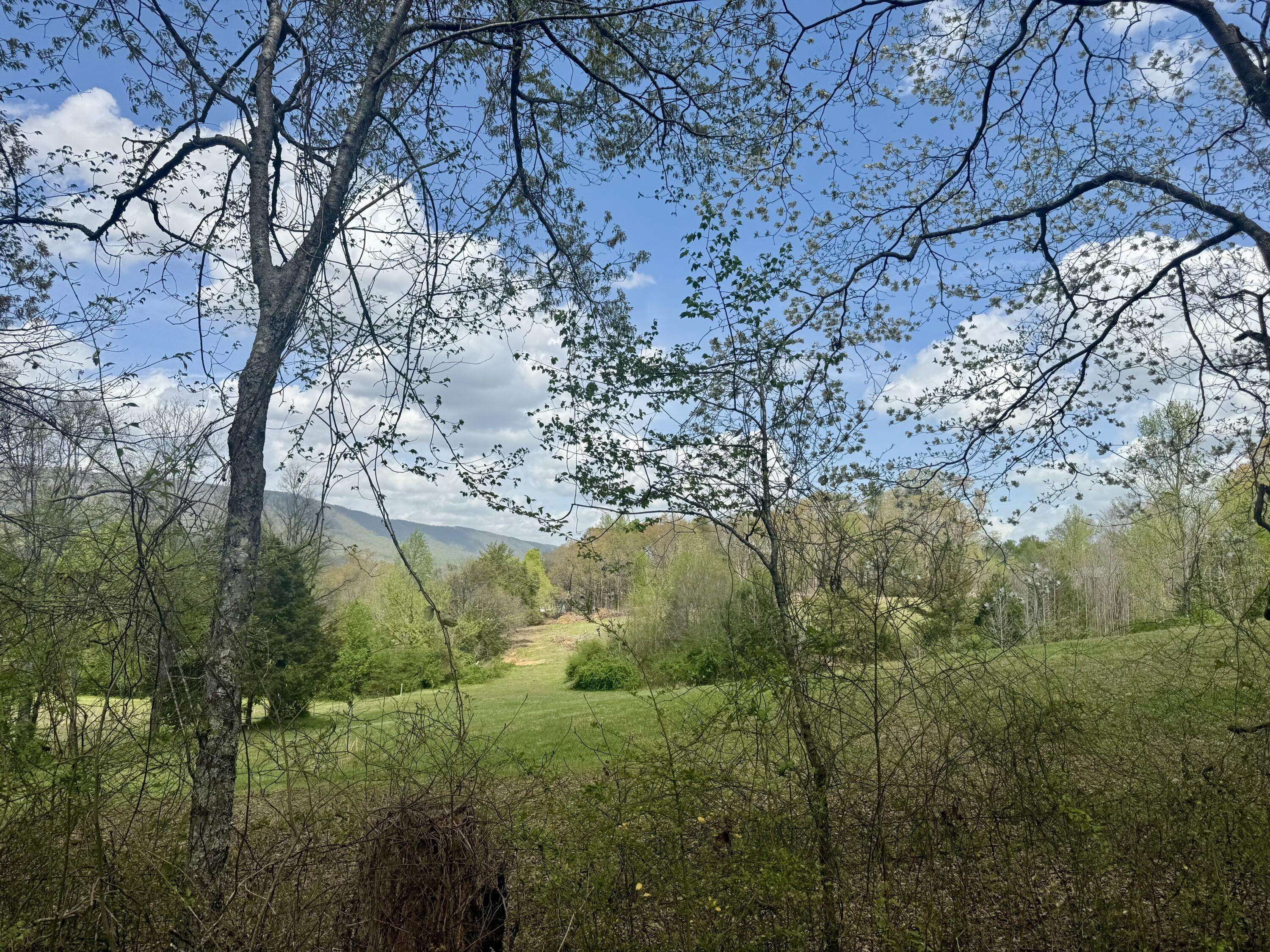 Whitwell, TN 37397,0 Lynn Ln, 341 Acres
