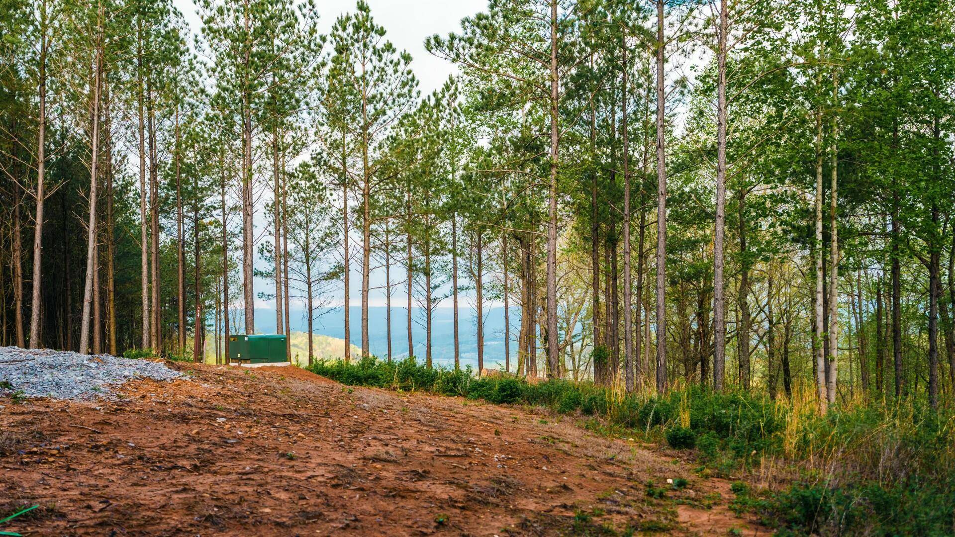 Guild, TN 37340,1147 Topo DR