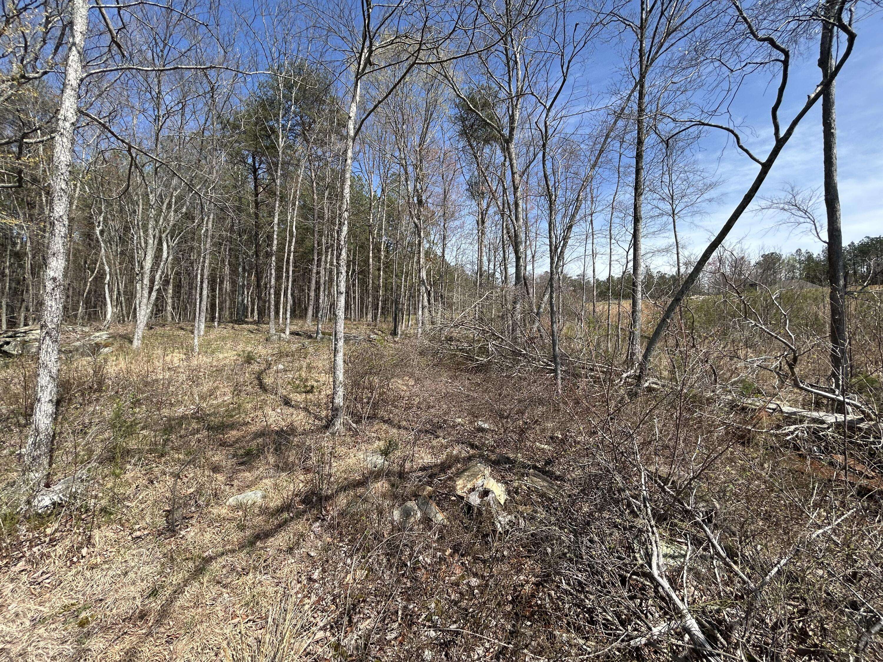 Jasper, TN 37347,4093 Raulston Falls RD