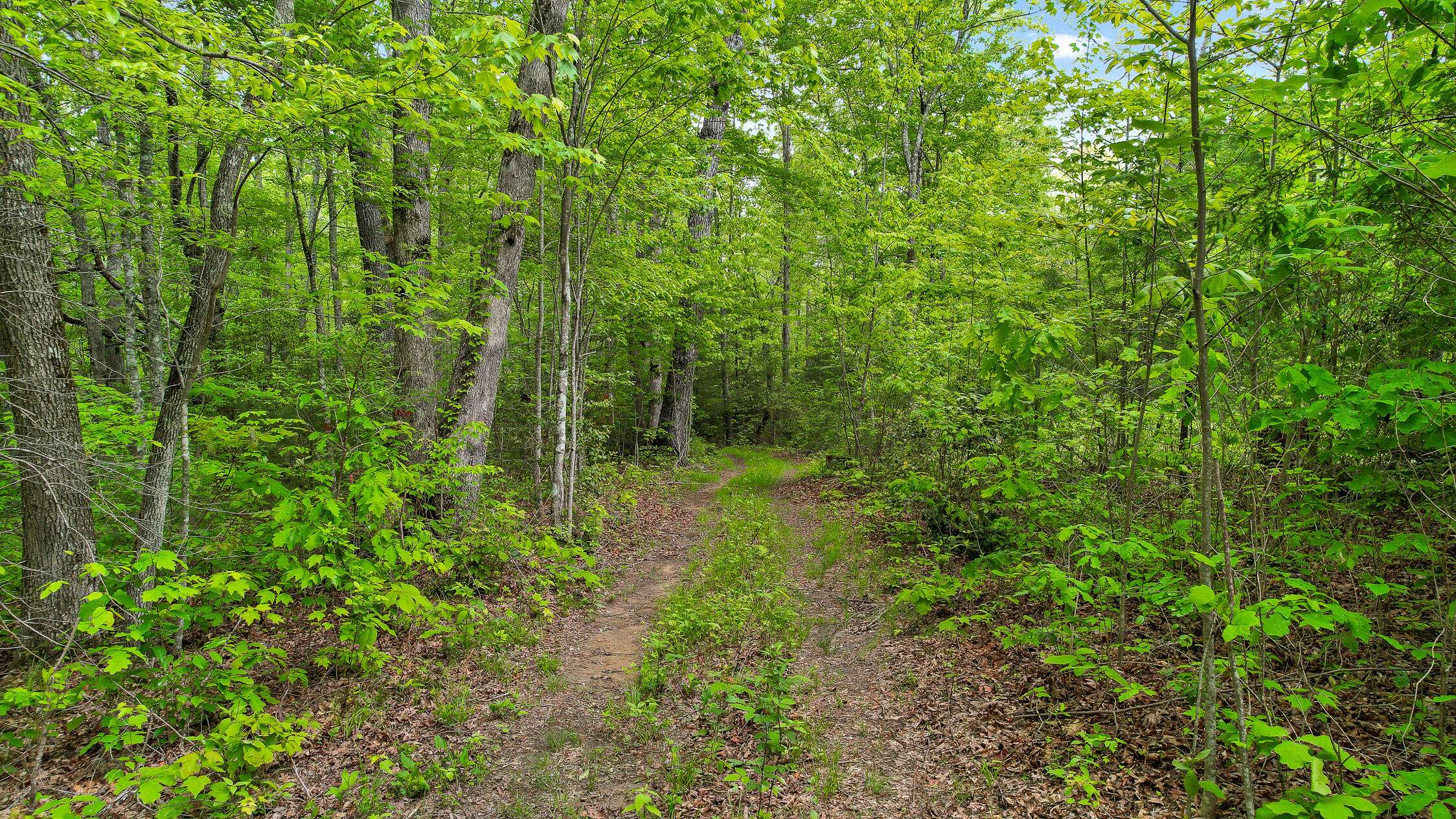 Graysville, TN 37338,10 Acres Blaine Smith RD