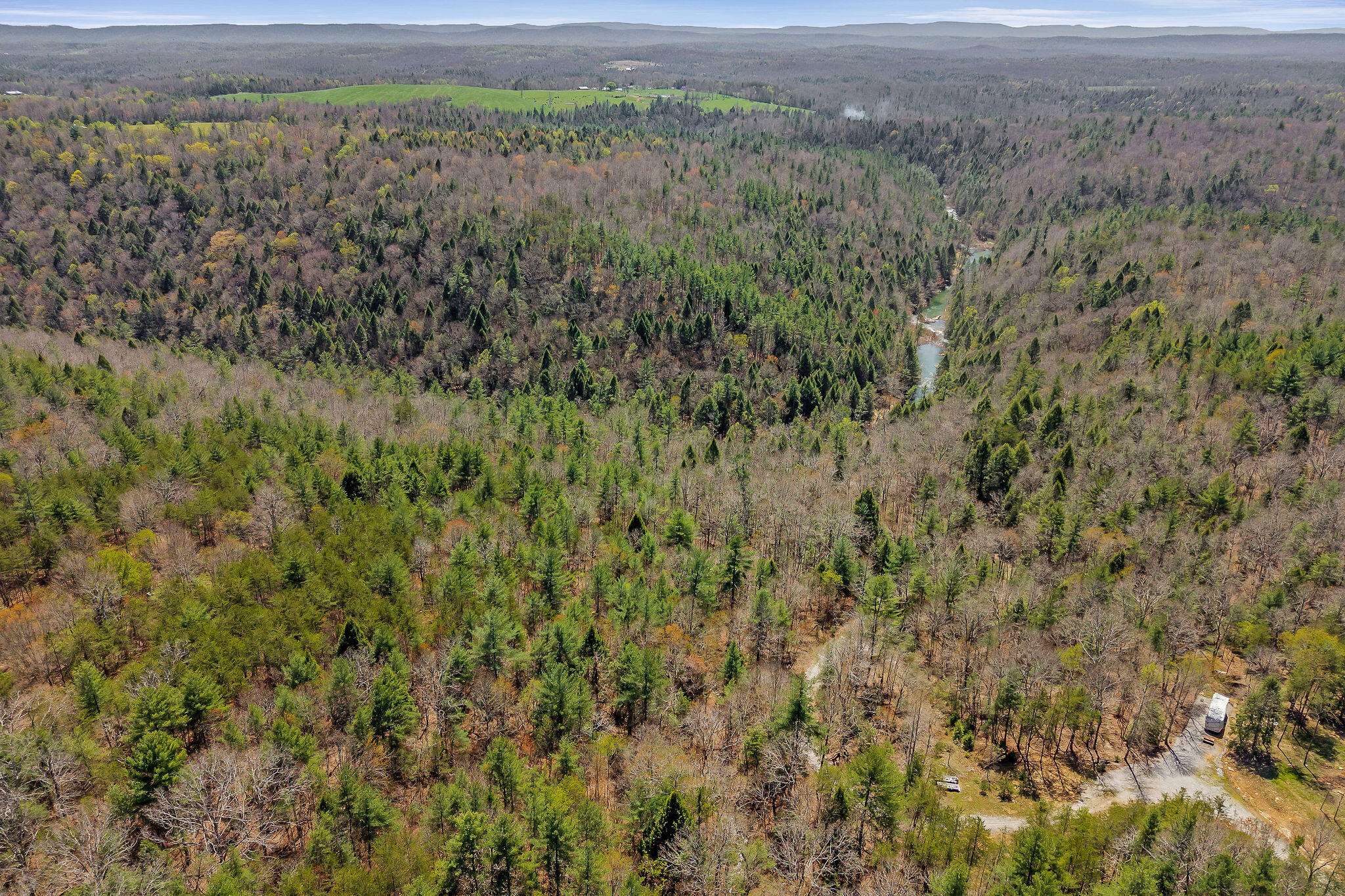 Deer Lodge, TN 37726,0 Nashville Highway 62