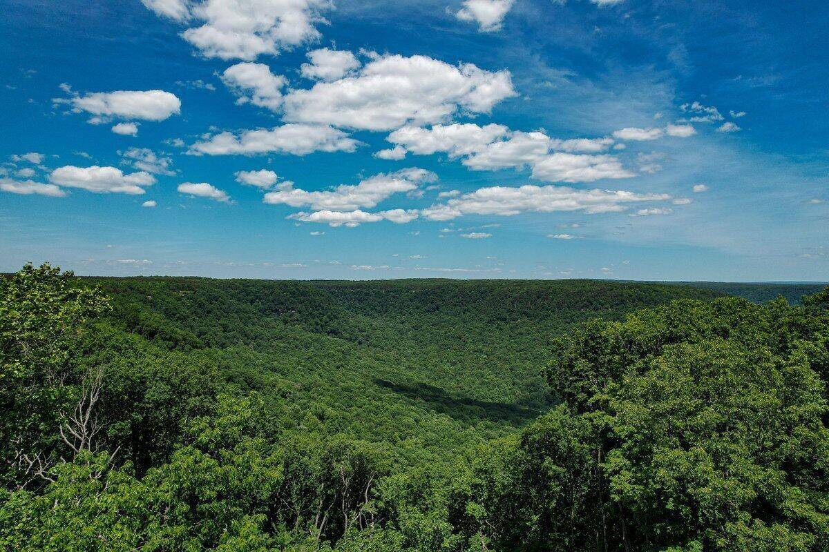 Jasper, TN 37347,0 High Point LN