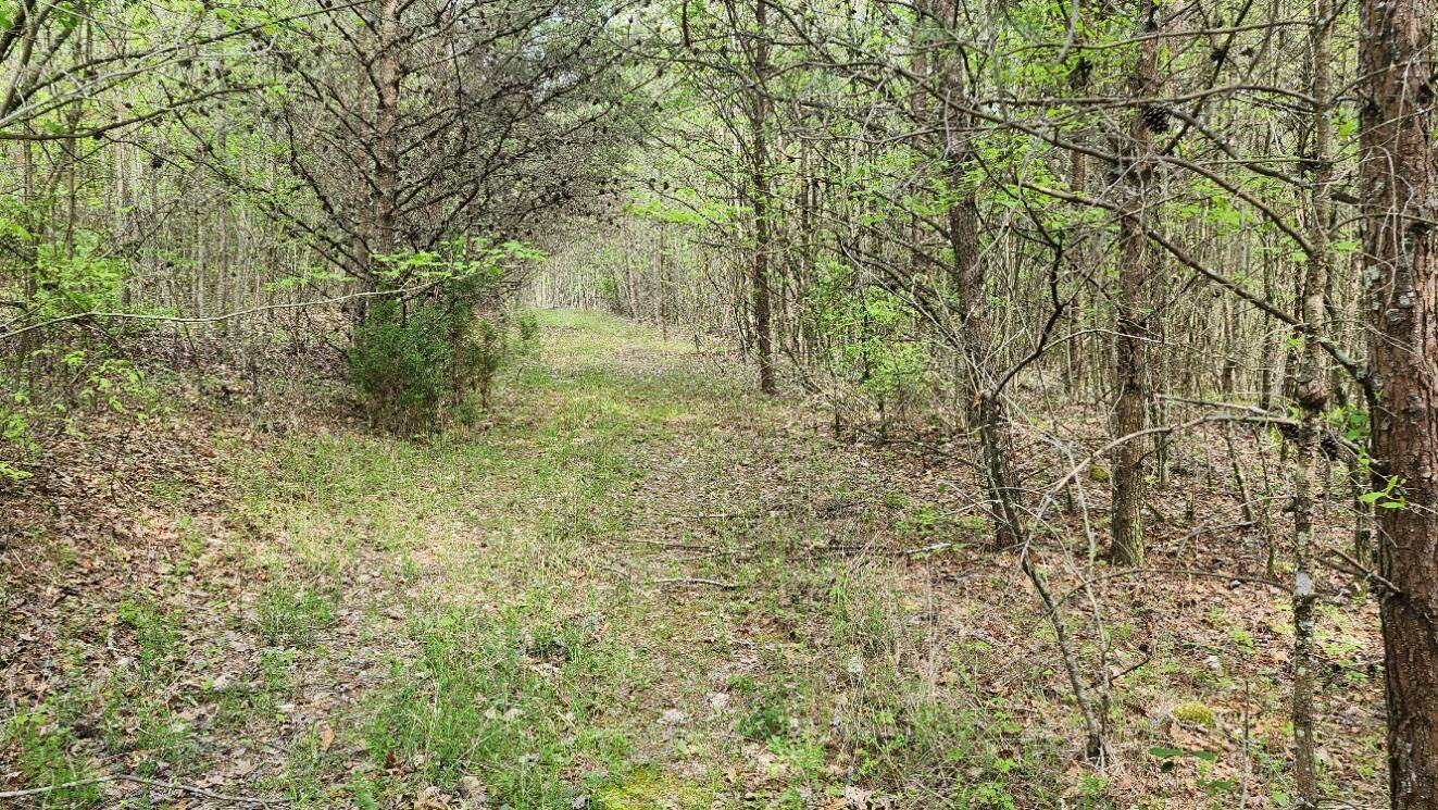 Tracy City, TN 37387,0 Old Holy Water RD