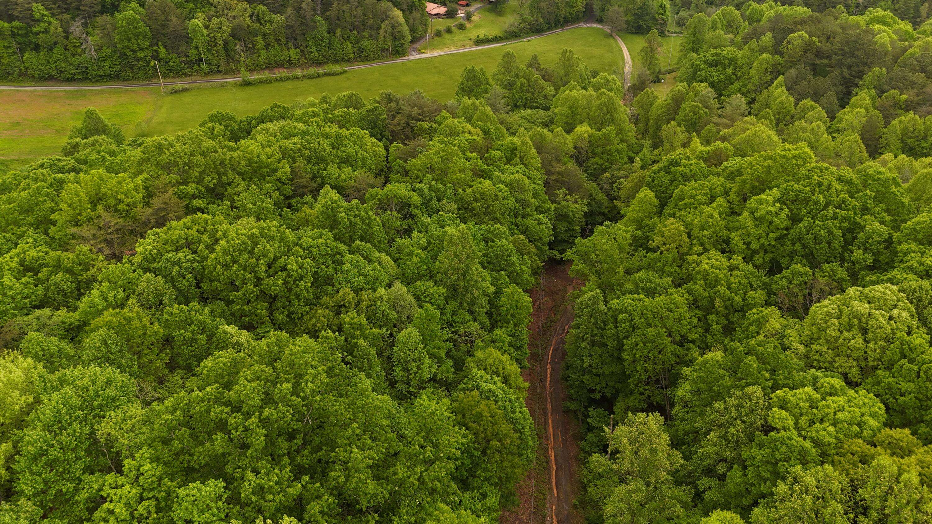 Turtletown, TN 37391,115 Calvender RD