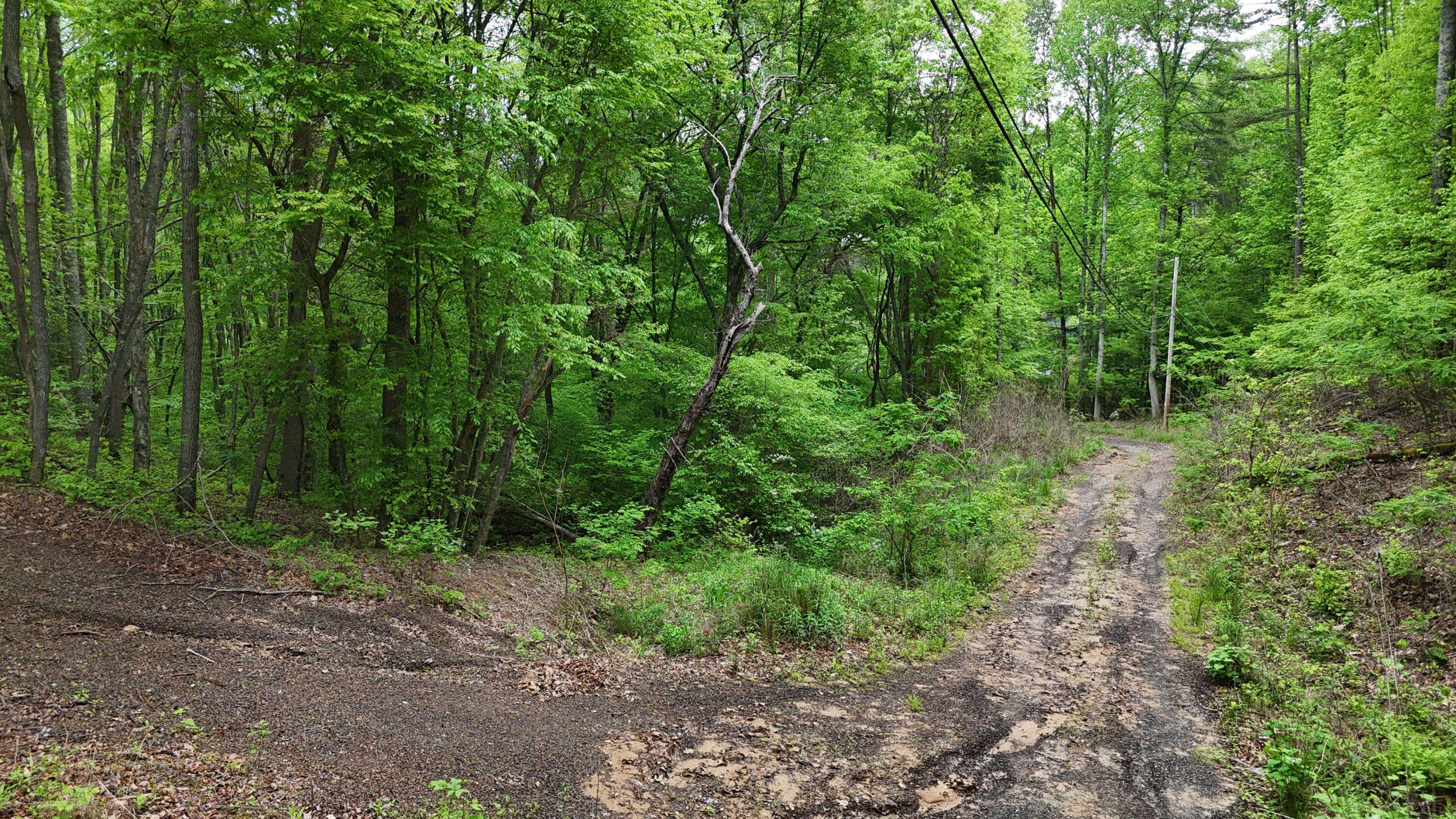 Turtletown, TN 37391,115 Calvender RD