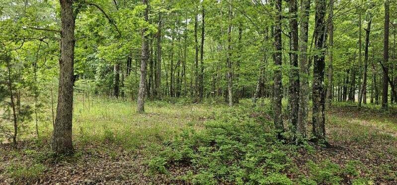 Dunlap, TN 37327,0 2 Lake Trl