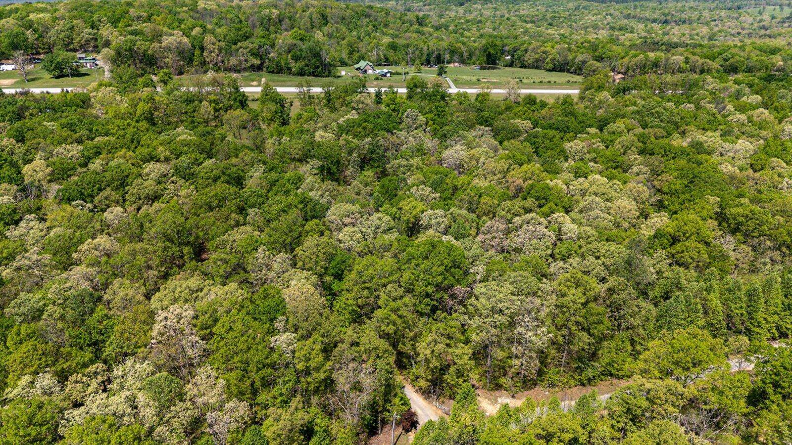 Dunlap, TN 37327,557 Green Forest RD