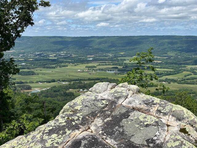 Pikeville, TN 37367,1459 Porch Rock RD