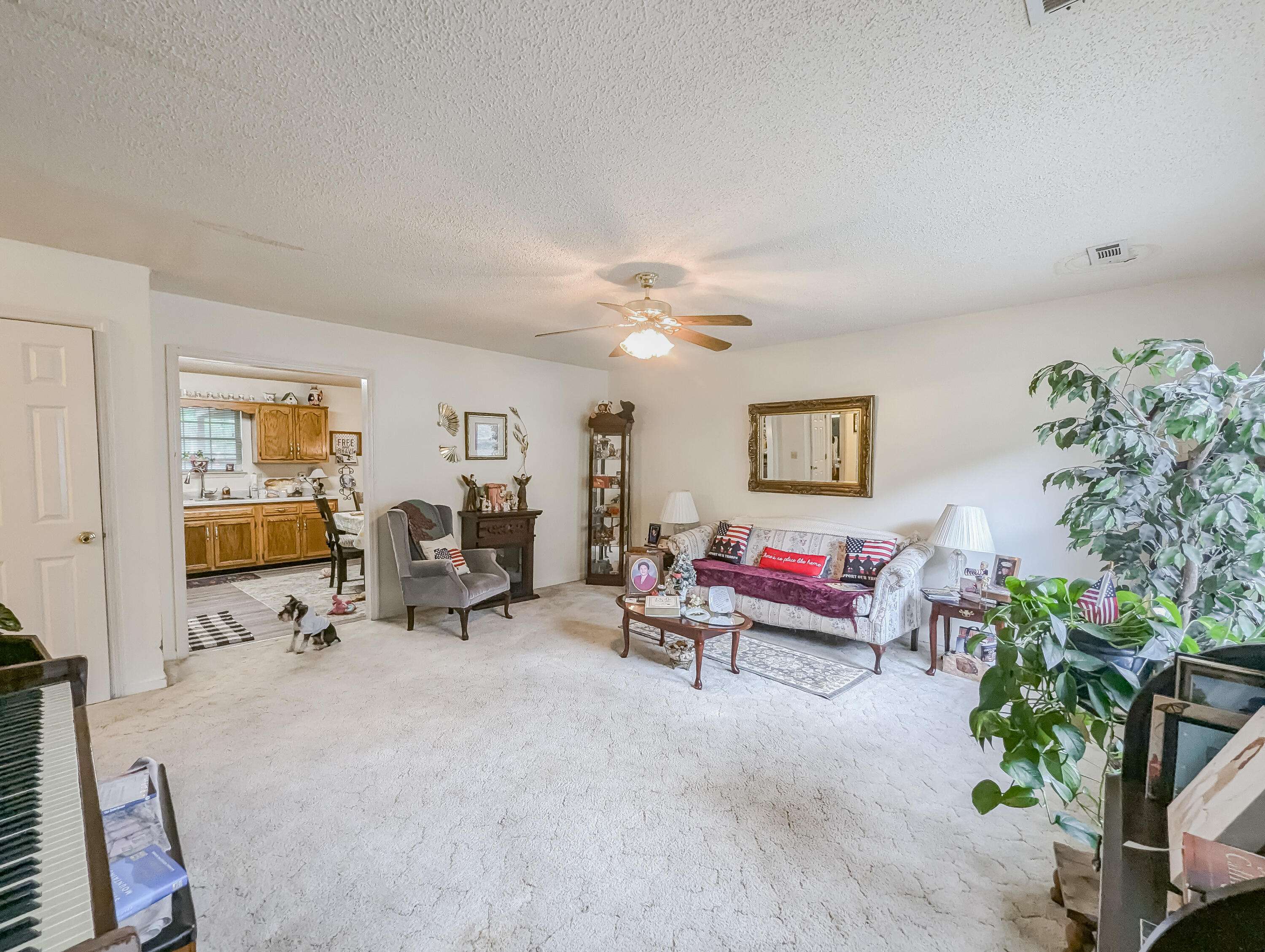 Ringgold, GA 30736,92 Sue LN