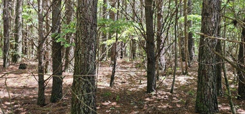 Spencer, TN 38585,0 Sunset Rd