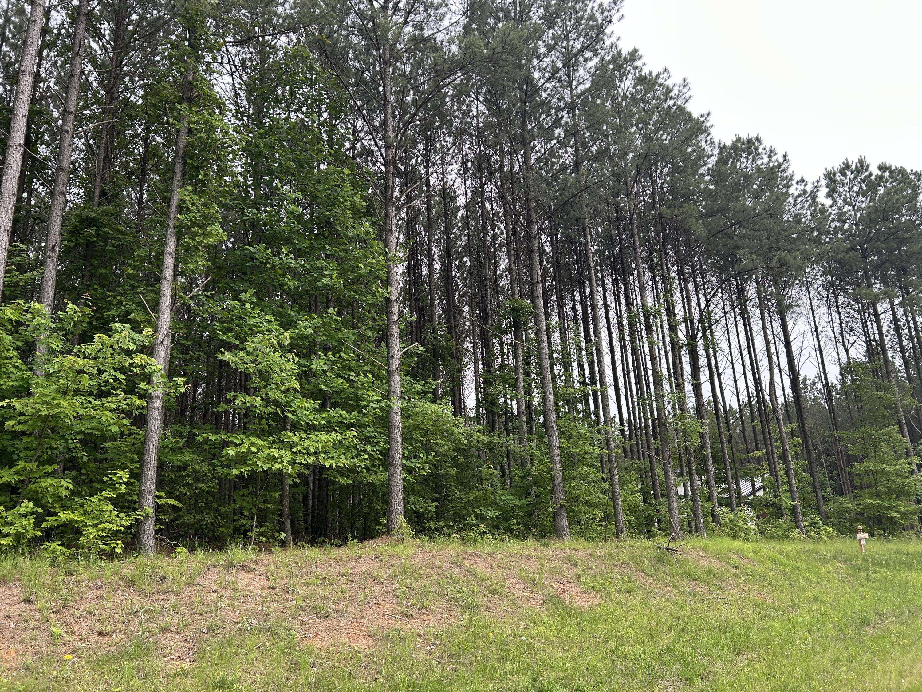 Jasper, TN 37347,1771 Crockett PT