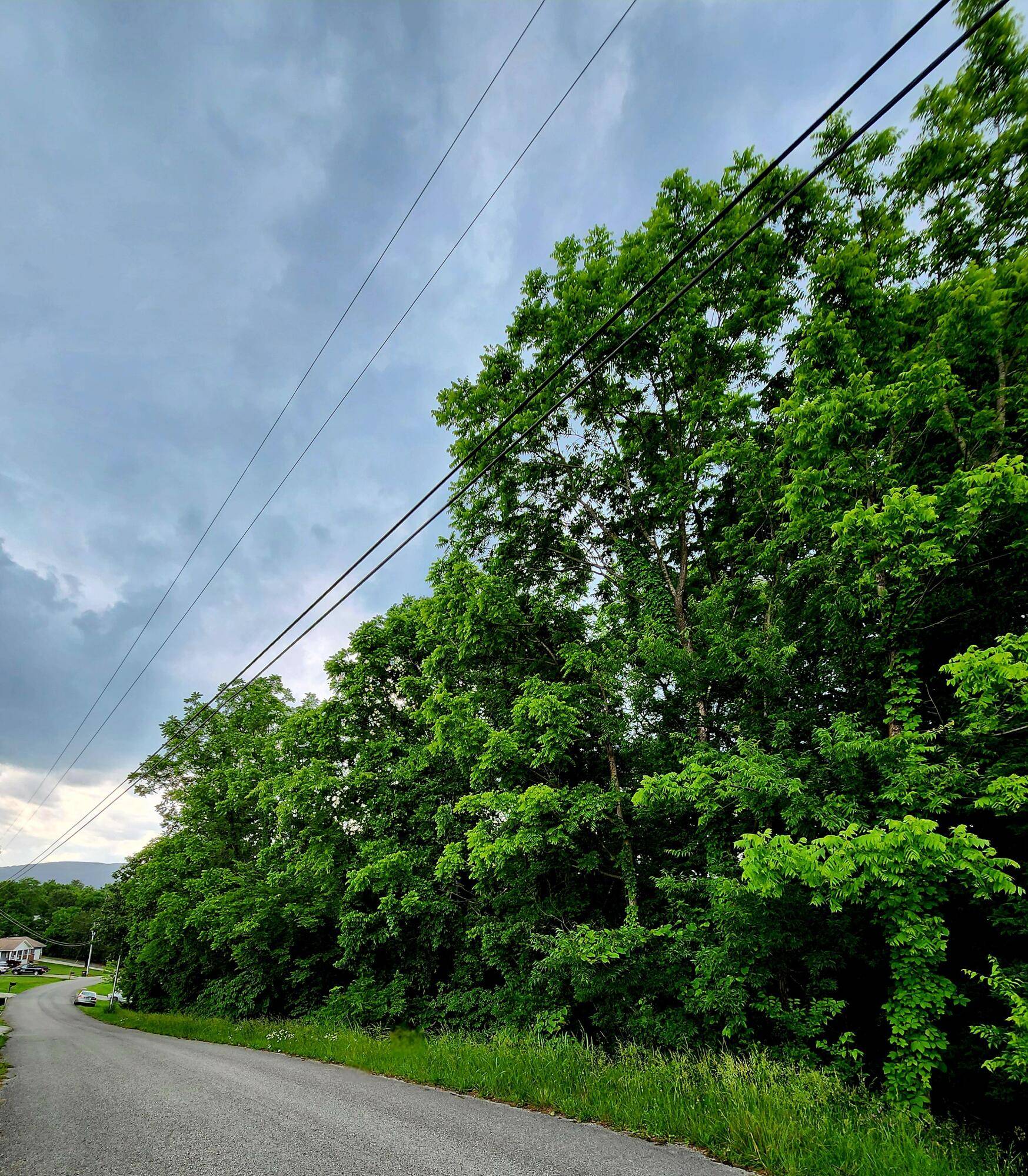 Dayton, TN 37321,0 Ashley LN