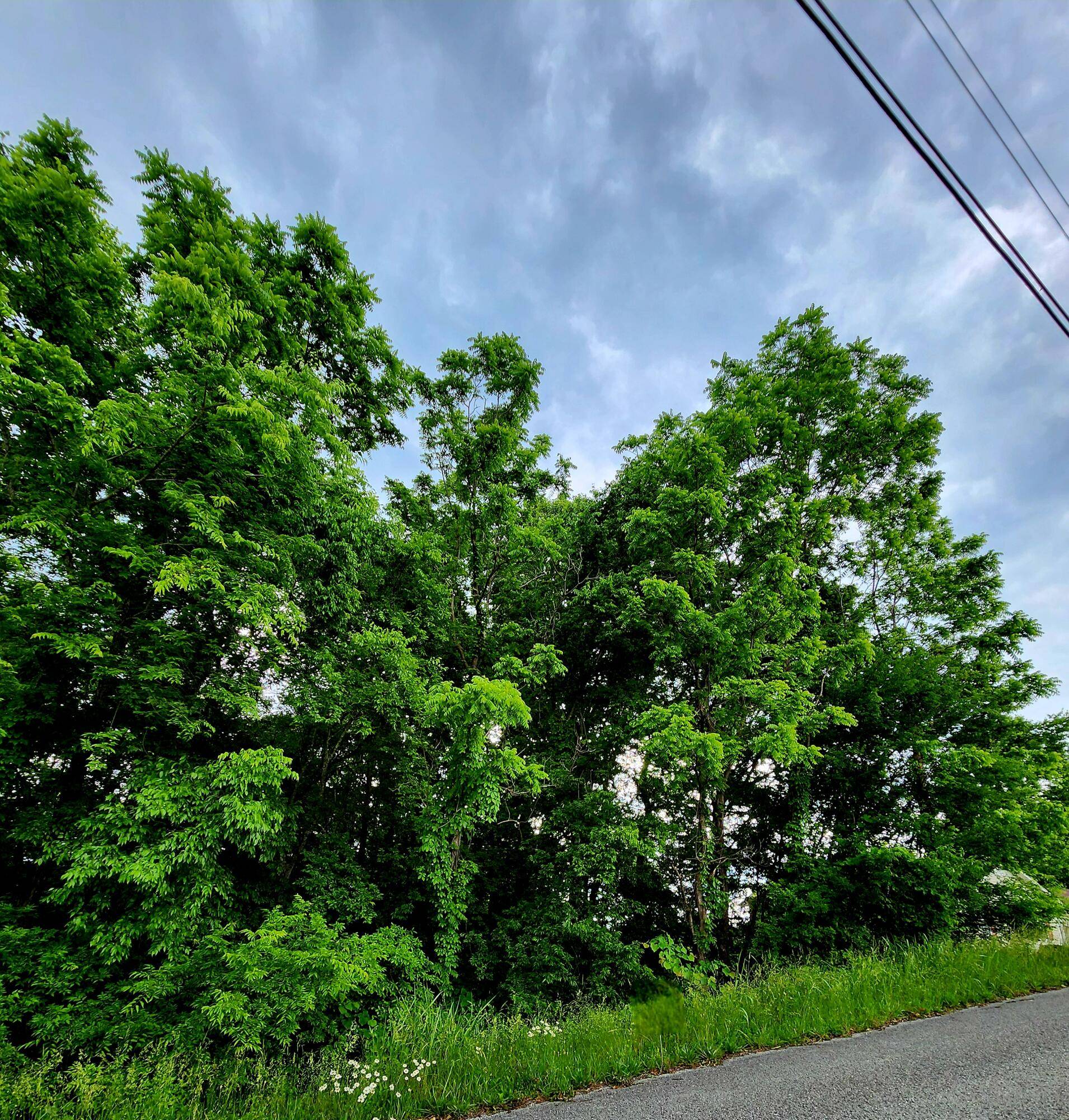 Dayton, TN 37321,0 Ashley LN