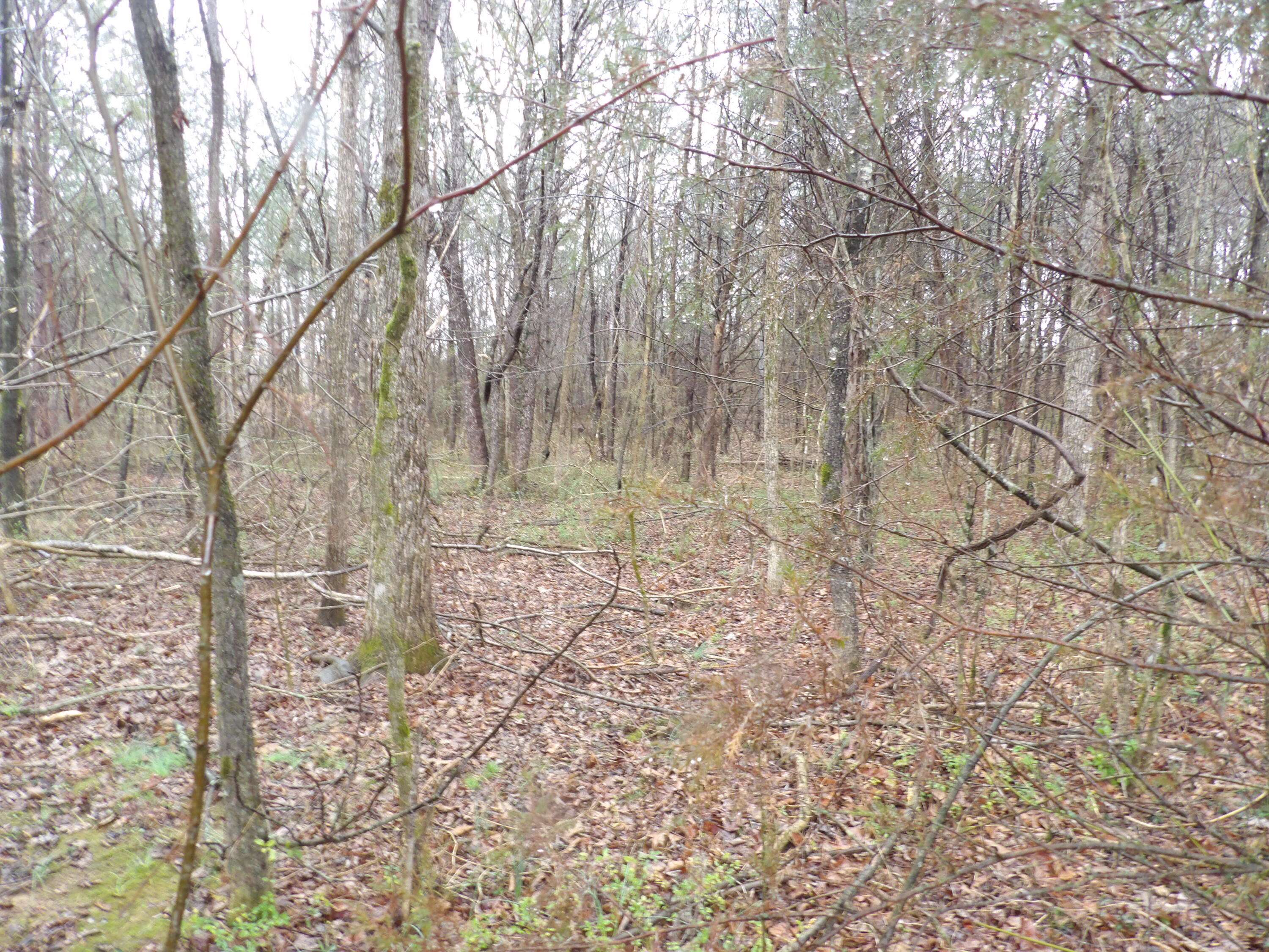 Pikeville, TN 37367,028 Rockfort RD