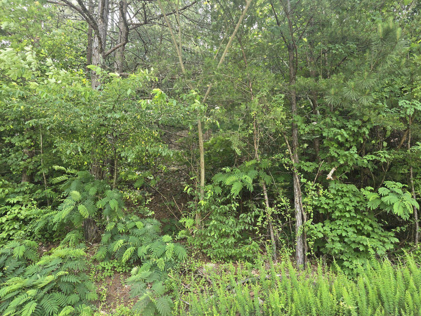 Cleveland, TN 37312,3312 Ridgeway DR