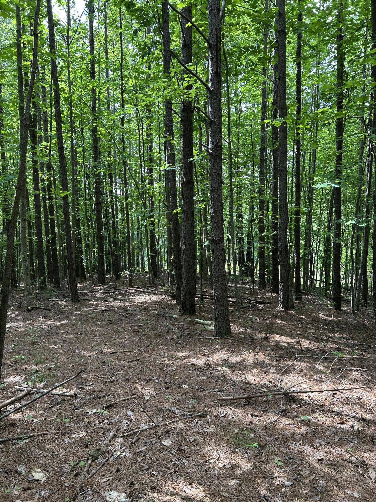 Jasper, TN 37347,464 Moonlight LN