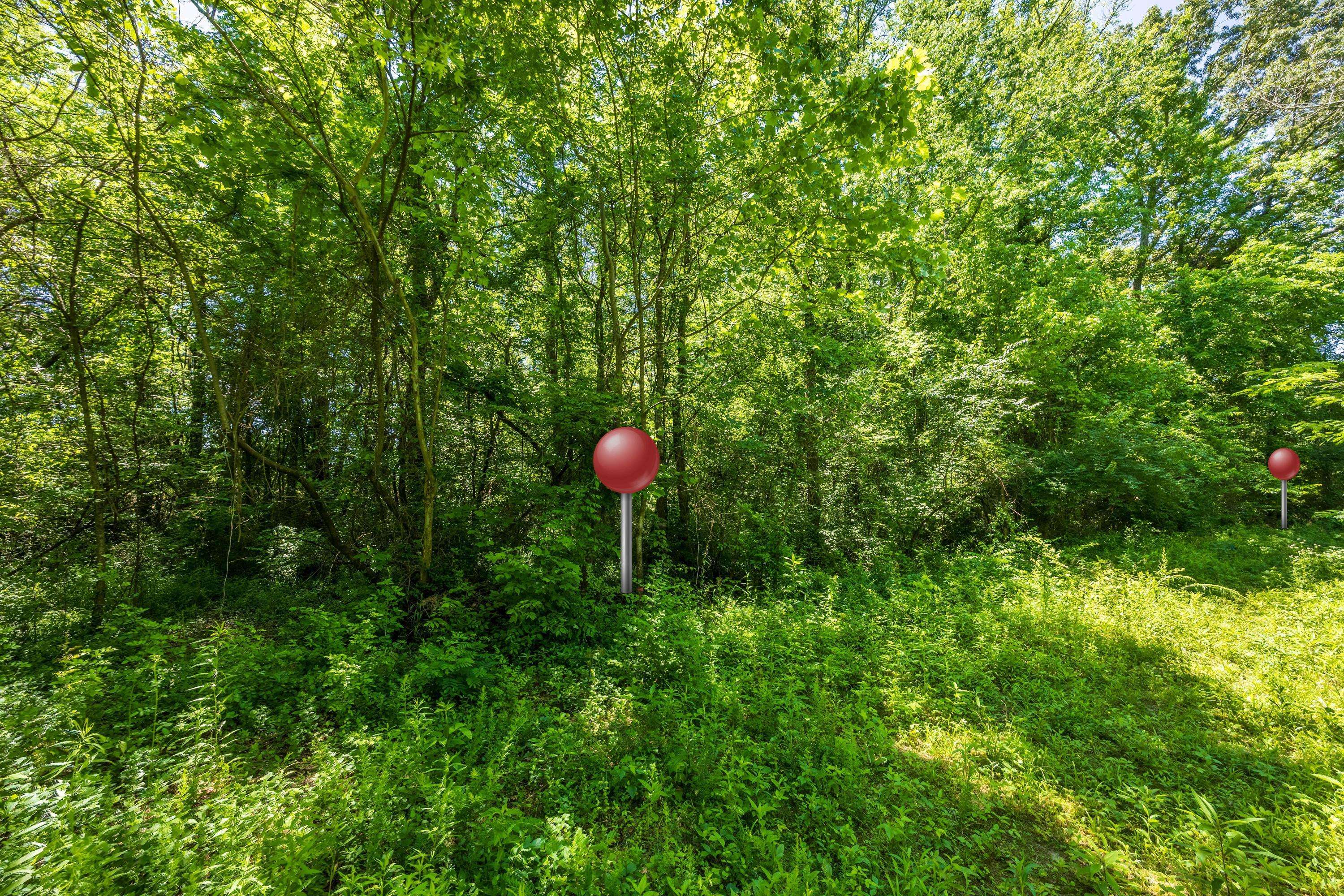 Chattanooga, TN 37421,6954 Robinson DR