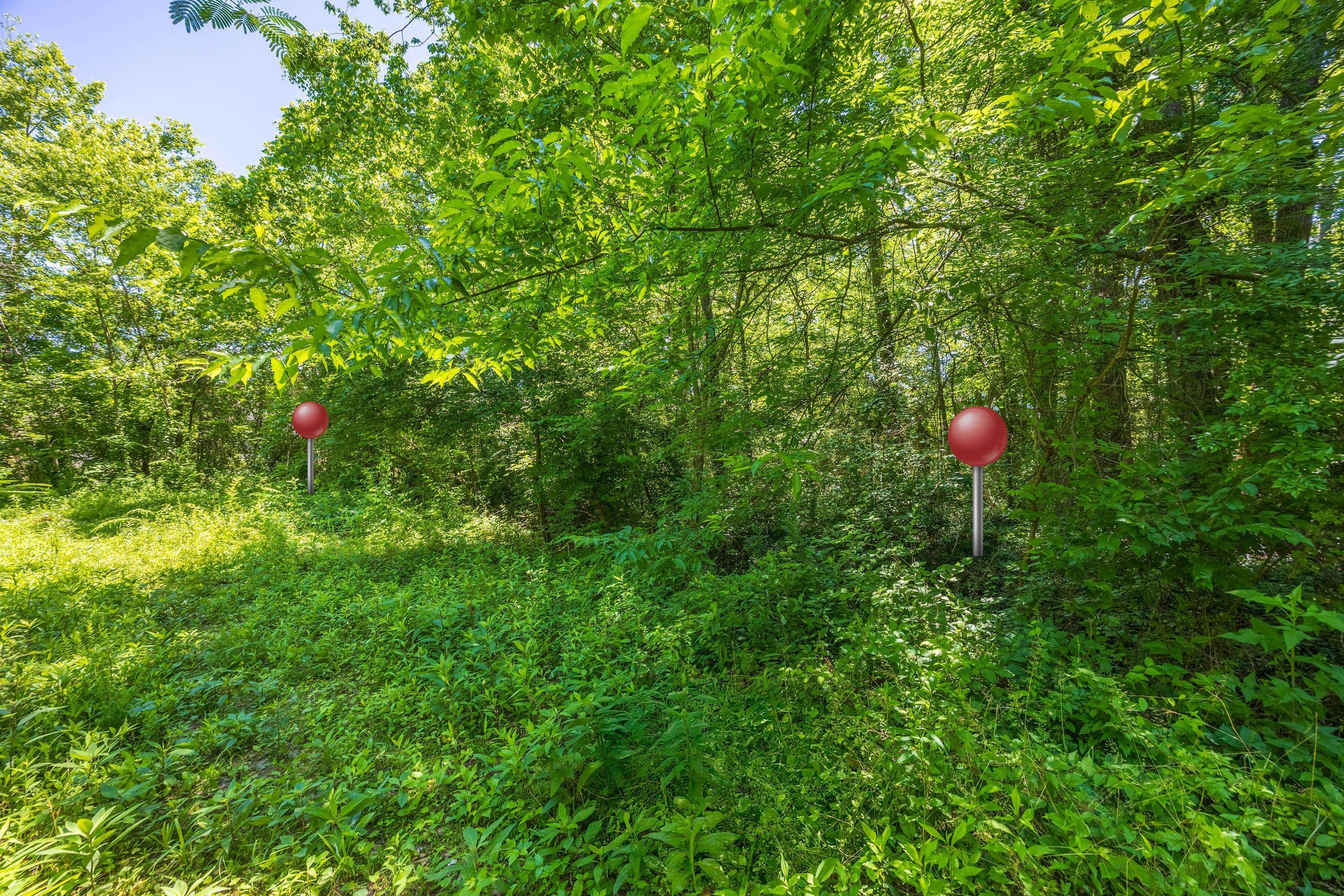 Chattanooga, TN 37421,6954 Robinson DR