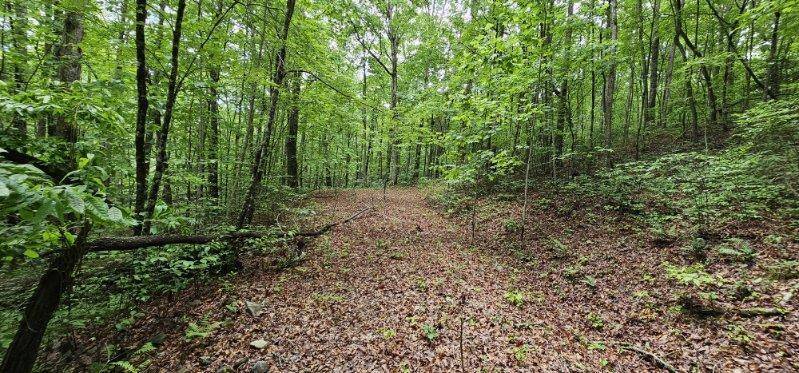 Dunlap, TN 37327,0 Oak Leaf LN