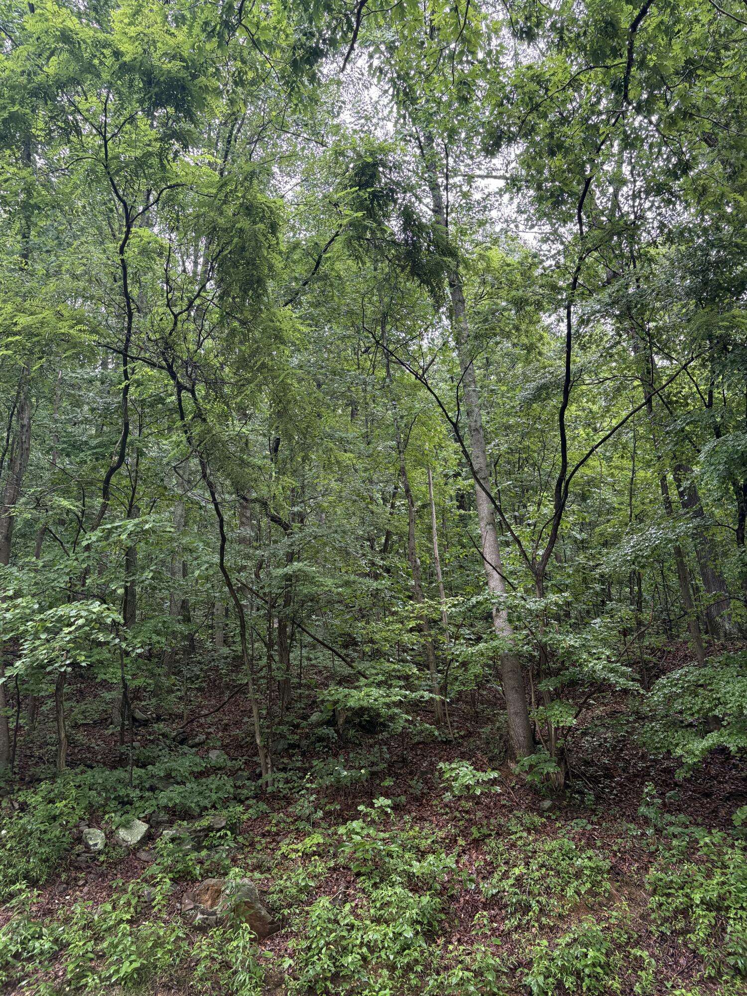 Whitwell, TN 37397,0 Highway 27