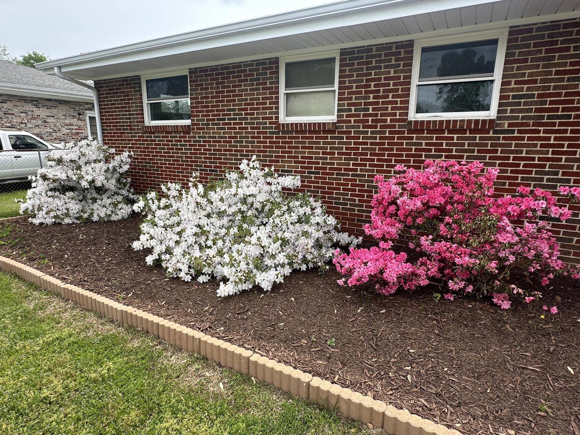 Rossville, GA 30741,95 Millport DR